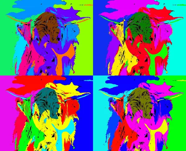 Pop Art Hightland Ícone Gado Com Manchas Cor — Fotografia de Stock