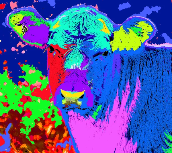 Pop Art Kráva Ikona Barevnými Skvrnami — Stock fotografie