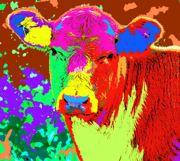 Pop art cow icon with color spots