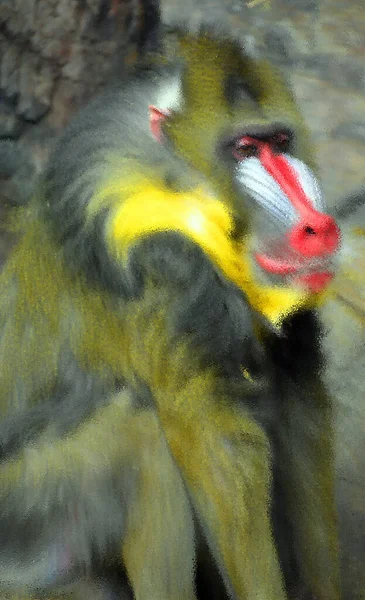 Abstrato Colorido Desfocado Fundo Macaco — Fotografia de Stock