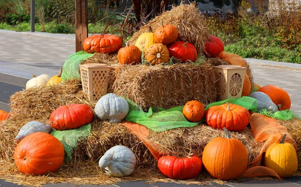 Quebec City Canada 2021 Funny Pumpkins Halloween Period — Stock Photo, Image