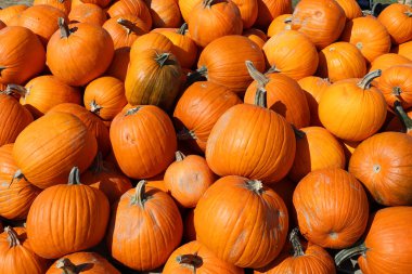 Kartopu balkabakları, pürüzsüz, hafif tırtıklı derisi olan ve çoğunlukla turuncu ile turuncu arasında değişen bir kış kabağı türüdür.