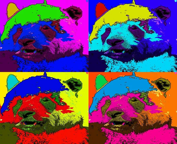Pop Art Αρκούδα Εικονίδιο Χρωματιστά Σημεία — Φωτογραφία Αρχείου