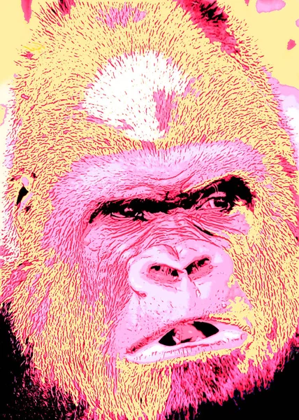 Pop Art Gorilla Icoon Met Kleurvlekken — Stockfoto