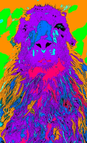 Lama Zeichen Illustration Pop Art Hintergrund Symbol Mit Farbflecken — Stockfoto