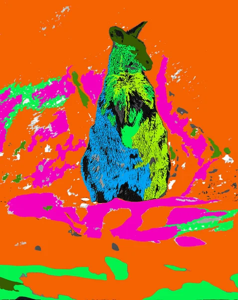 Wallaby Jel Illusztráció Pop Art Háttér Ikon Színes Foltok — Stock Fotó