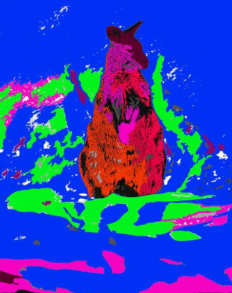 Wallaby Teken Illustratie Pop Art Achtergrond Pictogram Met Kleurvlekken — Stockfoto