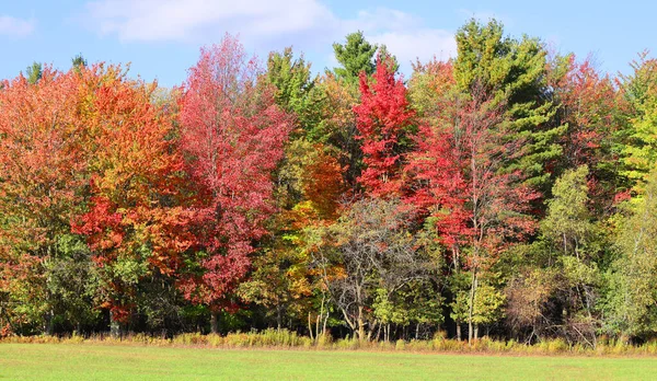 Queda Paisagem Leste Municípios Bromont Shefford Província Quebec Canadá — Fotografia de Stock