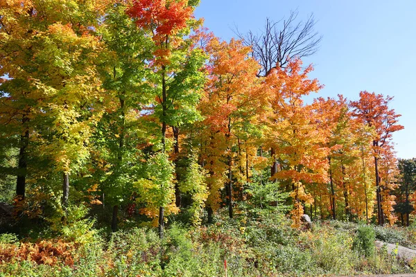 カナダ ケベック州シャフォードのブロモント東部の秋の風景 — ストック写真