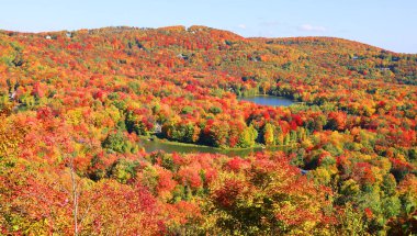 Bromont, Shefford, Quebec eyaleti, Kanada 'nın doğusundaki manzarayı sonbahara bırak.