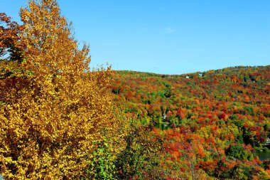 Bromont, Shefford, Quebec eyaleti, Kanada 'nın doğusundaki manzarayı sonbahara bırak.
