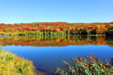 Bromont, Shefford, Quebec eyaleti, Kanada 'nın doğusundaki manzarayı sonbahara bırak.