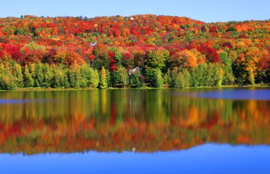 Bromont, Shefford, Quebec eyaleti, Kanada 'nın doğusundaki manzarayı sonbahara bırak.