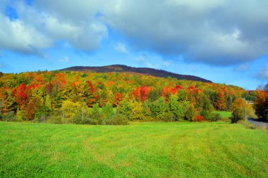 Bromont, Shefford, Quebec eyaleti, Kanada 'nın doğusundaki manzarayı sonbahara bırak.
