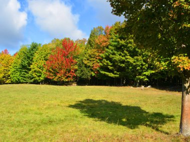 Bromont, Shefford, Quebec eyaleti, Kanada 'nın doğusundaki manzarayı sonbahara bırak.