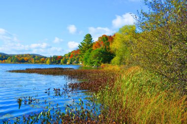 Bromont, Shefford, Quebec eyaleti, Kanada 'nın doğusundaki manzarayı sonbahara bırak.