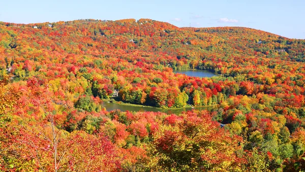 Fall Landscape Eastern Townships Bromont Shefford Prowincja Quebec Kanada — Zdjęcie stockowe