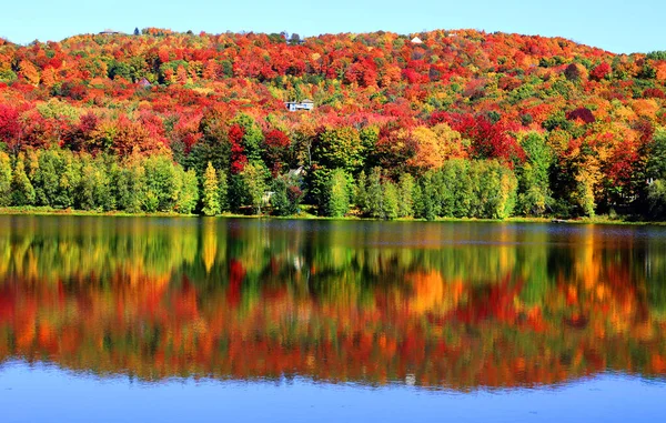 Paisaje Otoñal Municipios Orientales Bromont Shefford Provincia Quebec Canadá —  Fotos de Stock