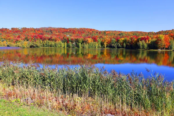 Hösten Landskap Östra Stadsdelar Bromont Shand Quebec Provinsen Kanada — Stockfoto