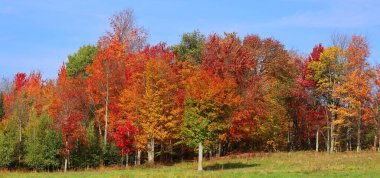 Bromont, Shefford, Quebec eyaleti, Kanada 'nın doğusundaki manzarayı sonbahara bırak. 