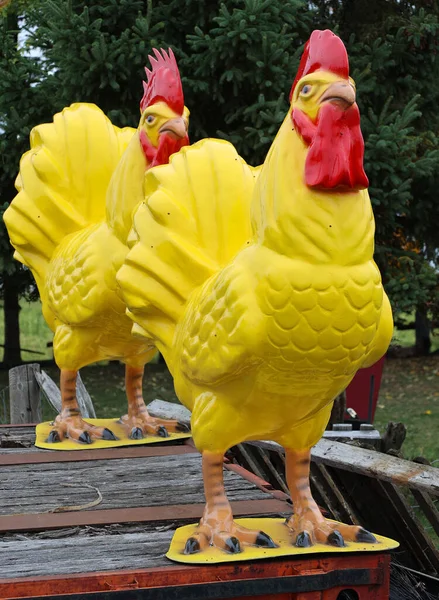 Sainte Eulalie Quebec Canada 2021 Galo Estátua Animal Fibra Vidro — Fotografia de Stock