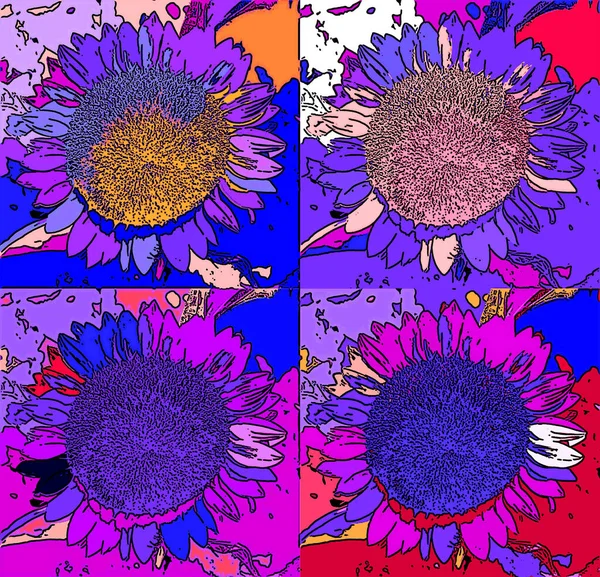 Signo Girasol Ilustración Pop Art Icono Fondo Con Manchas Color —  Fotos de Stock