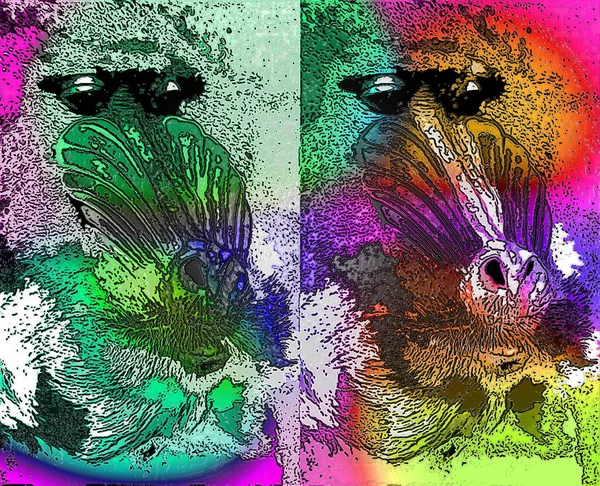 Mandrillen Mandrillus Sfinx Primat Gamla Världen Tecknet Illustration Popkonst Bakgrundsikon — Stockfoto