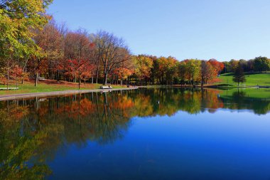 Park ve gölle güzel sonbahar manzarası