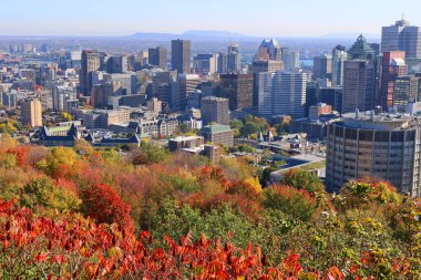 MONTREAL CANADA - 10 19 2021: Montreal şehir merkezinin kuş bakışı görüntüsü Montreal, Quebec, Kanada 'nın merkezi iş bölgesidir..