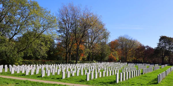 モントリオールケベックカナダ 2021 ノートルダム ナイジェス墓地のカナダ人兵士の墓は ナイジェス ノートルダム グレイスのボロにある田舎の墓地です — ストック写真