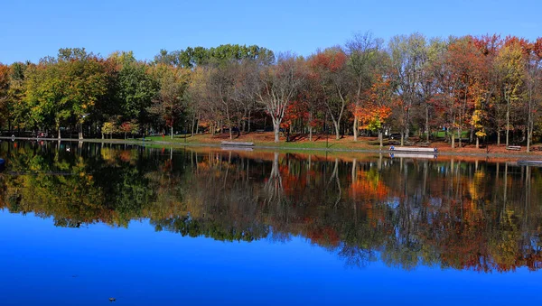 Beau Paysage Automne Avec Parc Lac — Photo