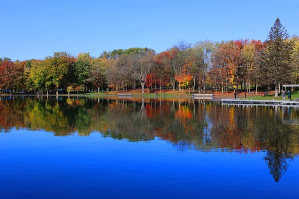 Beautiful Autumn Landscape Park Lake — Stockfoto