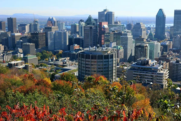 Montreal Canada 2021 Bird Eye View Downtown Montreal Det Sentrale – stockfoto