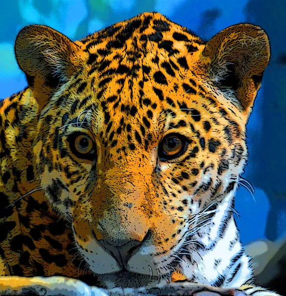 Jaguar Sign Pictures Pop Art Background Icon Color Spot — 스톡 사진