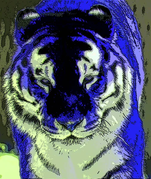 Tiger Σύμβολο Εικονογράφηση Pop Art Εικονίδιο Φόντου Κηλίδες Χρώματος — Φωτογραφία Αρχείου