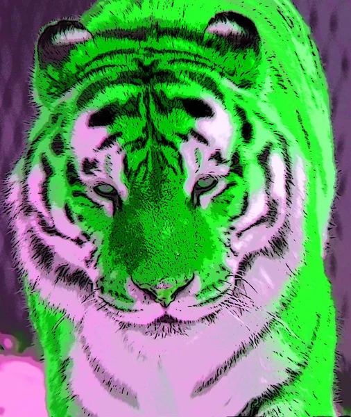 Tiger Segno Illustrazione Pop Art Icona Sfondo Con Macchie Colore — Foto Stock