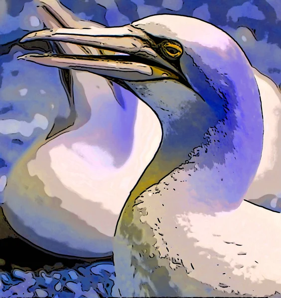 Northern Gannets Signo Ilustración Pop Art Icono Fondo Con Color —  Fotos de Stock