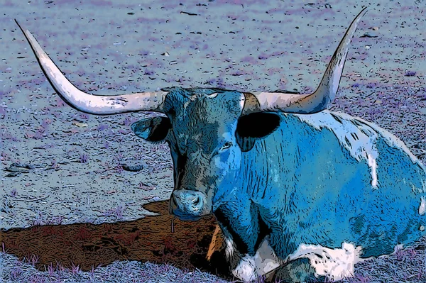 Texas Longhorn Jel Illusztráció Pop Art Háttér Ikon Színes Foltok — Stock Fotó