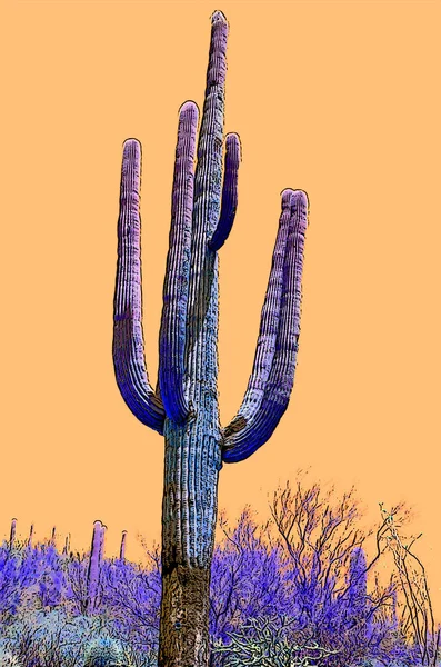 美国亚利桑那州的Saguaro Castus标志着带有彩色斑点的流行艺术背景图标 — 图库照片