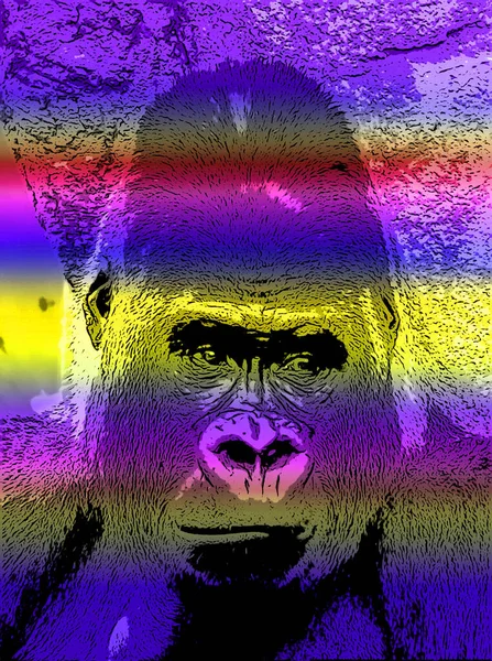 Gorilla Segno Illustrazione Pop Art Icona Sfondo Con Linee Colore — Foto Stock