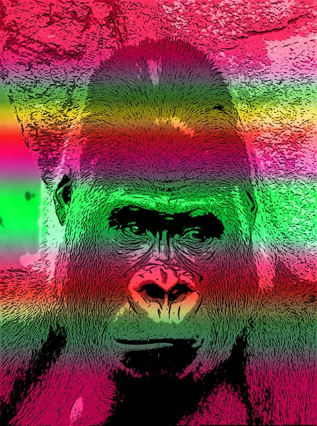 Gorilla Teken Illustratie Pop Art Achtergrond Pictogram Met Kleur Lijnen — Stockfoto