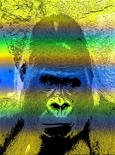 Gorilla Teken Illustratie Pop Art Achtergrond Pictogram Met Kleur Lijnen — Stockfoto