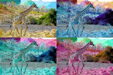 Safari parkındaki zürafa. Renkli pop-art arkaplan simgesi.