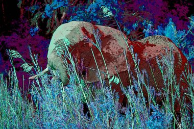 Fil işareti resimleme renk lekeli pop-art arkaplan simgesi