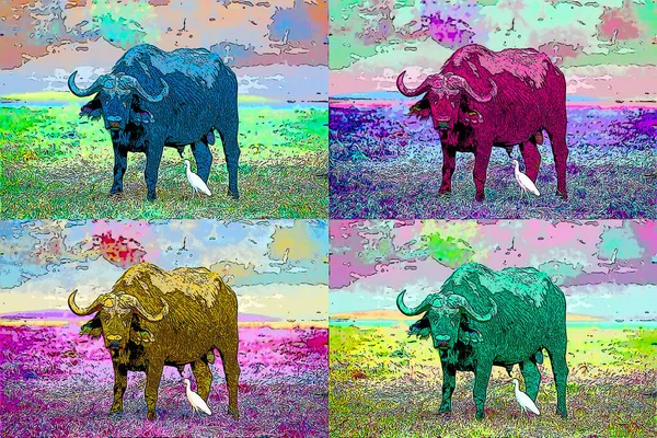 Afrikanische Büffel Zeichen Illustration Pop Art Hintergrund Symbol Mit Farbflecken — Stockfoto