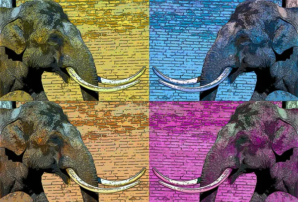Elefante Signo Ilustración Pop Art Icono Fondo Con Manchas Color —  Fotos de Stock