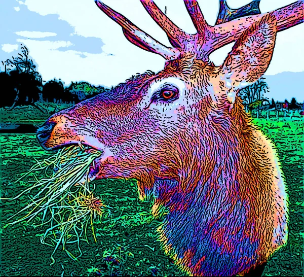 Stag Deer Sign Illustration Pop Art Background Icon Color Spots — Stock Photo, Image
