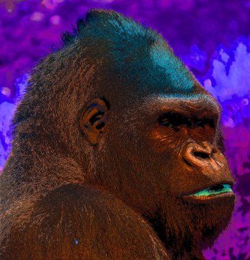 Goril işareti renk lekeli pop-art arkaplan simgesi