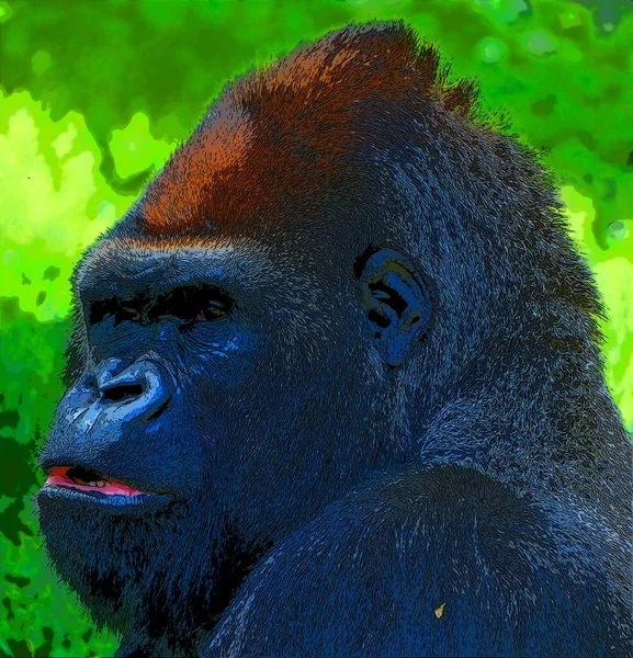 Gorilla符号图解带有色斑的流行艺术背景图标 — 图库照片
