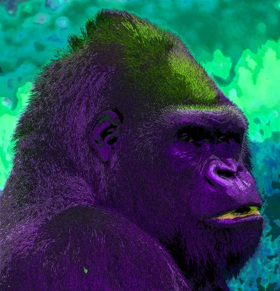 Gorilla Jel Illusztráció Pop Art Háttér Ikon Színes Foltok — Stock Fotó